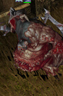 Pudge