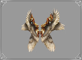 Wings of Heavenly